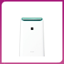 Máy ION Và Hút Ẩm DW-E16FA-W