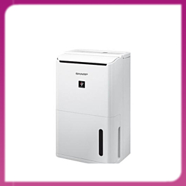 Máy ION Và Hút Ẩm DW-D12A-W